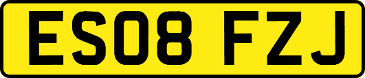 ES08FZJ