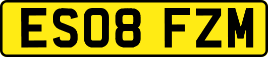 ES08FZM