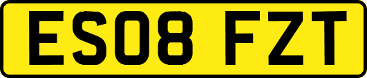 ES08FZT