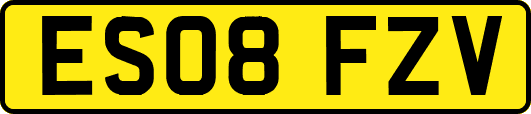 ES08FZV