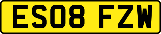 ES08FZW