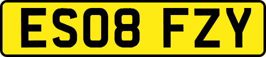 ES08FZY