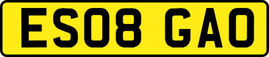 ES08GAO