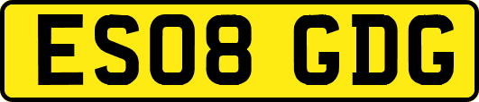 ES08GDG