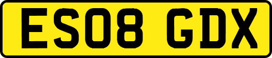 ES08GDX