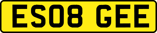 ES08GEE