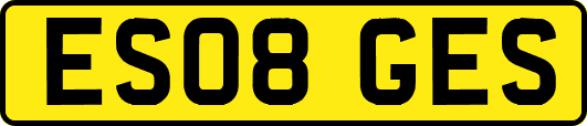 ES08GES