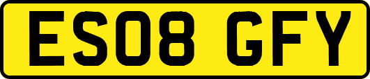 ES08GFY
