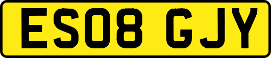 ES08GJY