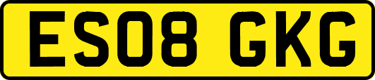 ES08GKG