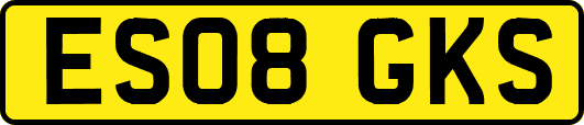 ES08GKS