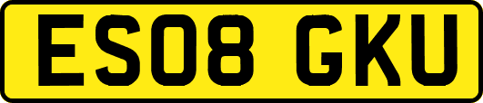 ES08GKU