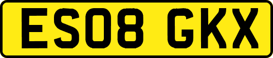 ES08GKX