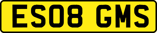 ES08GMS