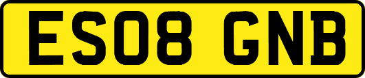 ES08GNB