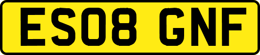 ES08GNF