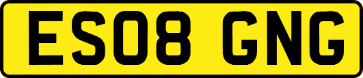 ES08GNG