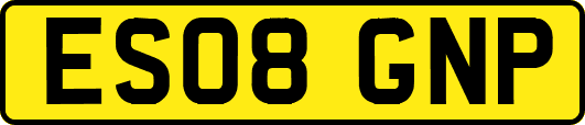 ES08GNP