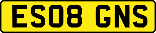 ES08GNS