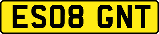 ES08GNT
