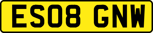 ES08GNW