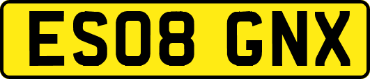 ES08GNX