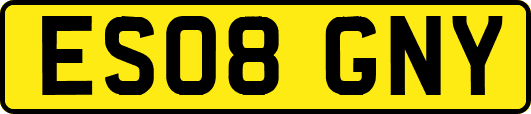 ES08GNY
