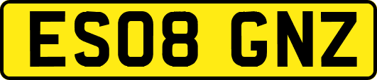 ES08GNZ