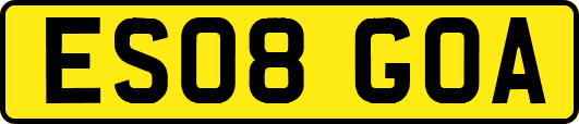 ES08GOA