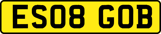 ES08GOB