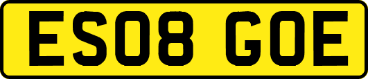 ES08GOE