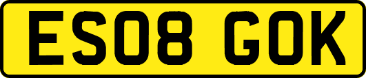 ES08GOK