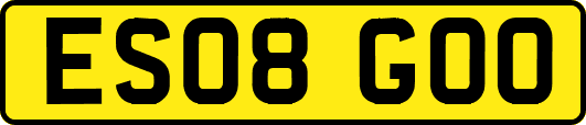 ES08GOO