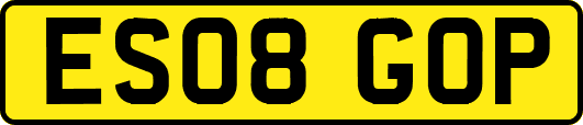 ES08GOP