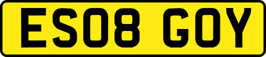 ES08GOY