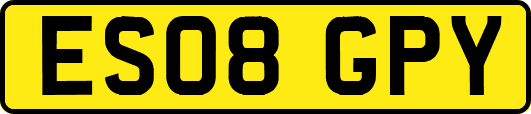 ES08GPY