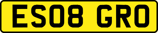 ES08GRO