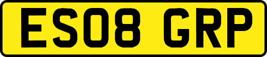 ES08GRP