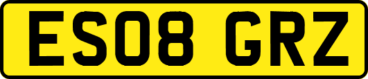 ES08GRZ