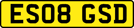 ES08GSD