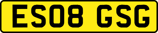 ES08GSG
