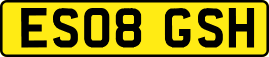 ES08GSH