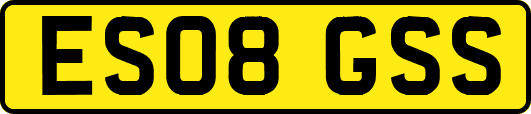 ES08GSS