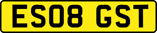 ES08GST