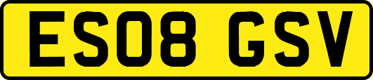 ES08GSV