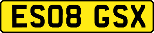 ES08GSX