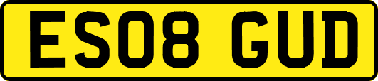 ES08GUD