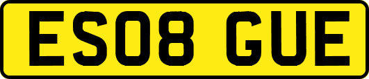 ES08GUE