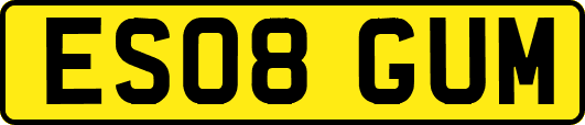 ES08GUM