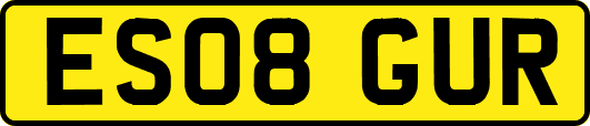 ES08GUR